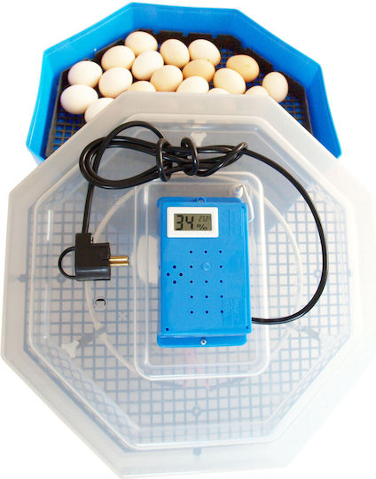 Cleo 5TH Incubator Ouă 60 ouă