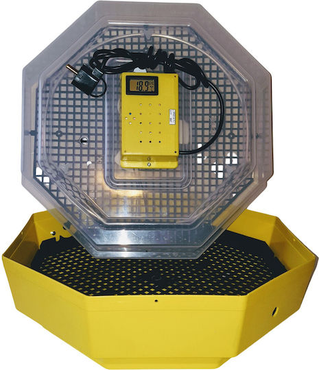 Cleo 5TH Incubator Ouă 60 ouă