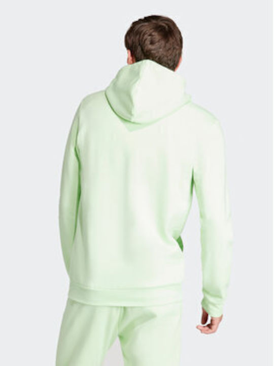 Adidas Men's Sweatshirt GREEN