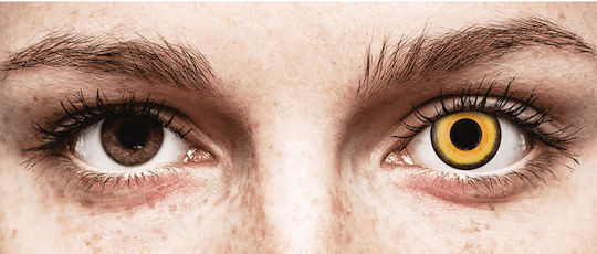 Gelflex Crazy Lens 2 Daily Contact Lenses Midnight Sun