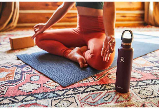 Hydro Flask Standard Flex Bottle Thermos Stainless Steel BPA Free 700ml Blue