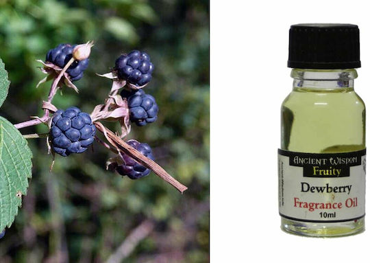 Ancient Wisdom Dewberry Ancient Wisdom Aromatic Oil Dewberry 10ml