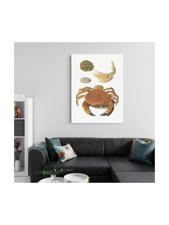 A Crab, A Pair Of Crab Claws And Two Turtle Shells By Johann Gustav Hoch (1716–1779) Gemälde auf Leinwand 40x65cm