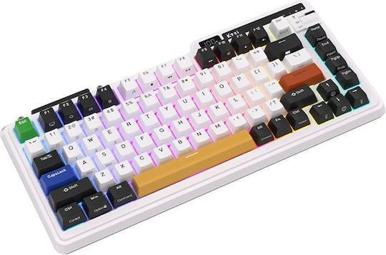 Royal Kludge K75 pro Wireless Gaming Mechanical Keyboard 75% with Custom switches and RGB lighting (English US) Gray