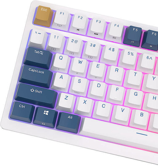 Royal Kludge RK98 Wireless Gaming Mechanical Keyboard with Custom Red switches and RGB lighting (English US) Blue