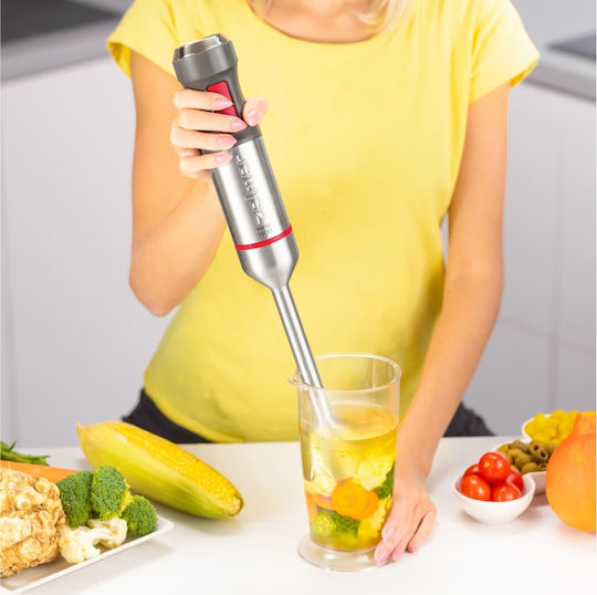 Zelmer Hand Blender with Inox Rod 1400W Silver