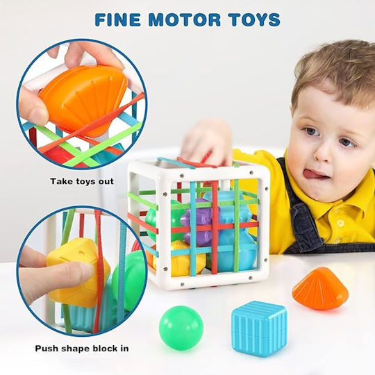 ikonka Activity Cube for 12++ Months