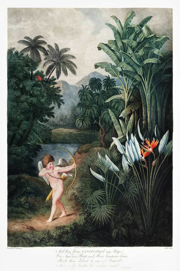 Cupid Inspiring Gemälde auf Leinwand 100x150cm