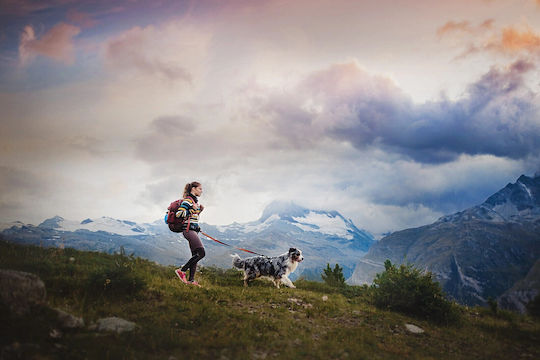 Non-stop dogwear Lesură/Odihnă Pentru Câini Curea De Antrenament Trekking Belt 2.0, Mare 85-165 cm În Culoare Neagră