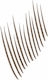 Maybelline Build-a-brow 2 Easy Steps Eyebrow Pe...