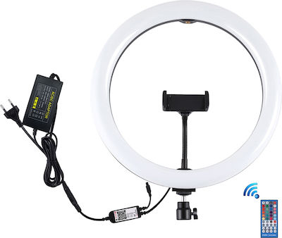 Puluz RGB Ringlicht 29.972cm mit Stativ Boden und Halterung für Mobiltelefon