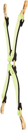Dream Toys BDSM Accessory in Green Color