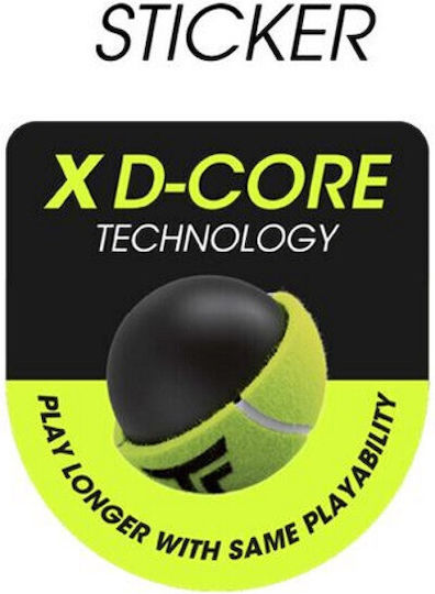 Tecnifibre TF Club Pet Tube Tennisbälle Tennis Praxis 3Stück