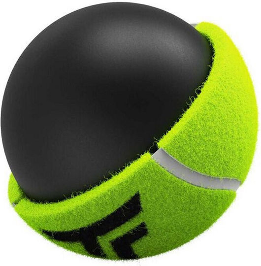 Tecnifibre TF Club Pet Tube Tennisbälle Tennis Praxis 3Stück