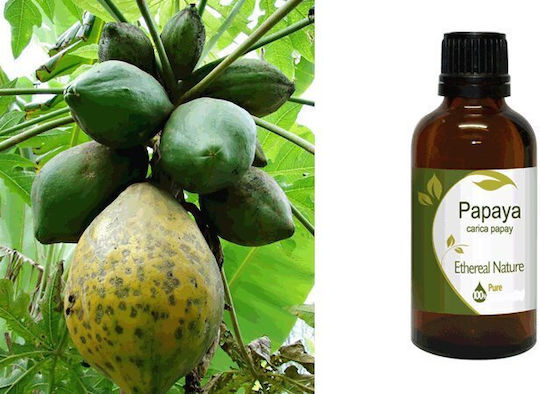 Nature & Body Papaya Öl 100ml