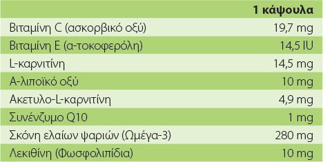 Vetfood Συμπλήρωμα Διατροφής Σκύλου και Γάτας σε Δισκία για Ενίσχυση Εγκεφαλικής Λειτουργίας