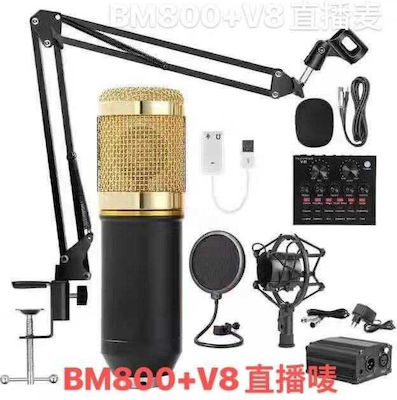 Microphone Set Voice