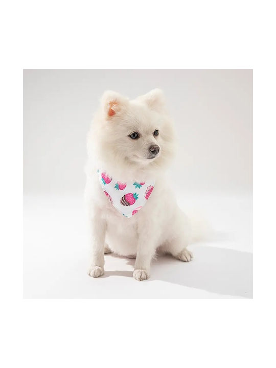 Bandana Collar Dog Collar in Pink color Large