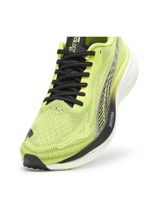 Velocity Nitro 3 Sport Shoes Running Psychedelic Rush