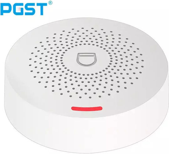 PGST Drahtlos Alarmsystem