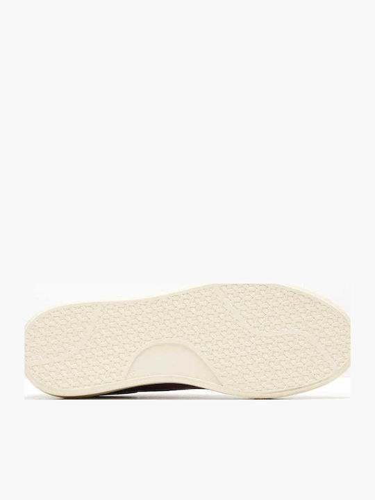 Sneakers Tabac Brown