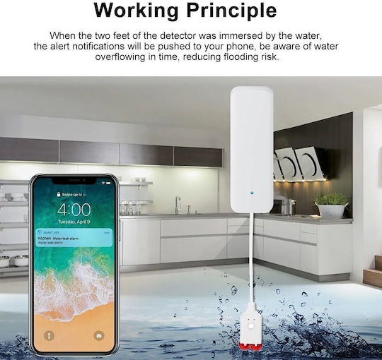 Wireless Flood Detector Battery ZigBee Wi-Fi with Cable