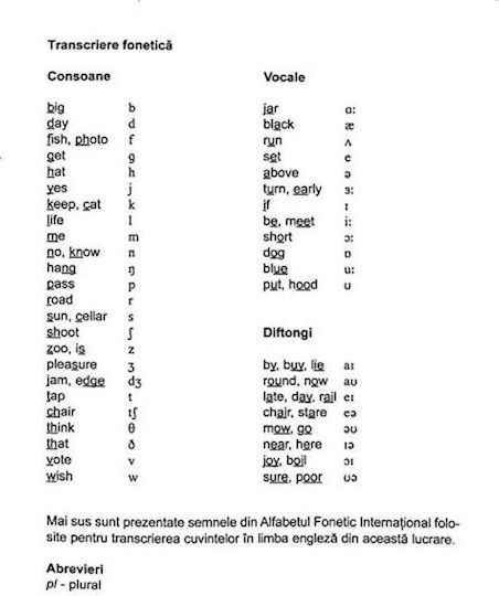Basic Vocabulary In Pictures English Language