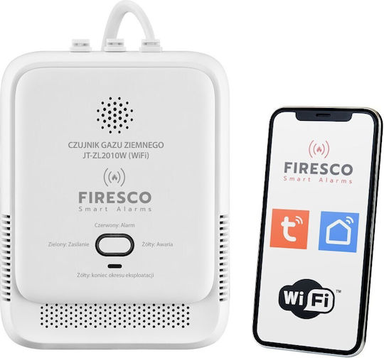 Gasdetektor WLAN