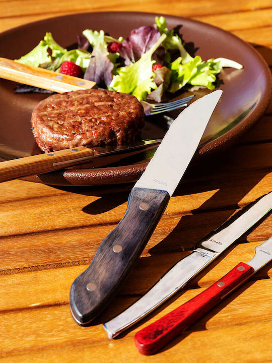 Amefa Brasero Messer Steak aus Edelstahl 24cm 436727 12Stück