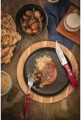 Tramontina Μαχαίρι Steak από Ανοξείδωτο Ατσάλι 25cm