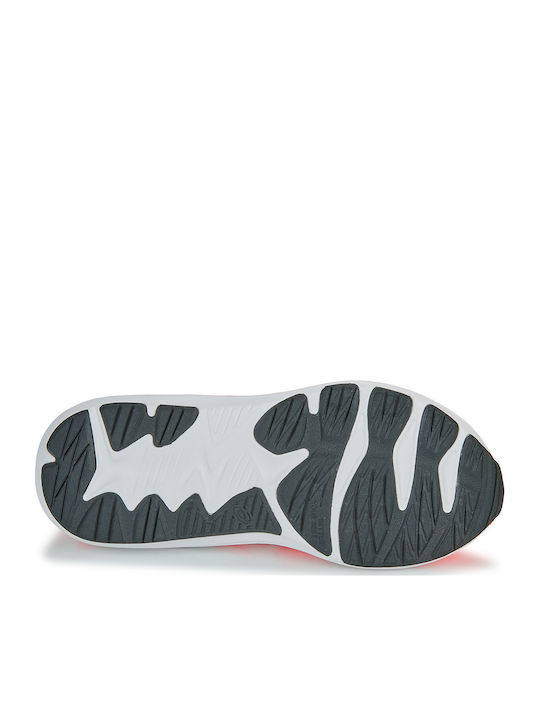 Jolt 4 PS Kids Sports Shoes Running with Hoop & Loop Closure Sunrise Red / White
