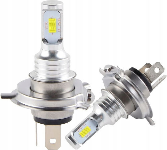 Interlook Λάμπες Αυτοκινήτου H4 Canbus LED 6500K Ψυχρό Λευκό 12-24V 80W 2τμχ