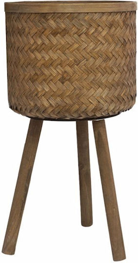 Zen Collection Plant Pot Beige Zen Collection Plant Pot Beige