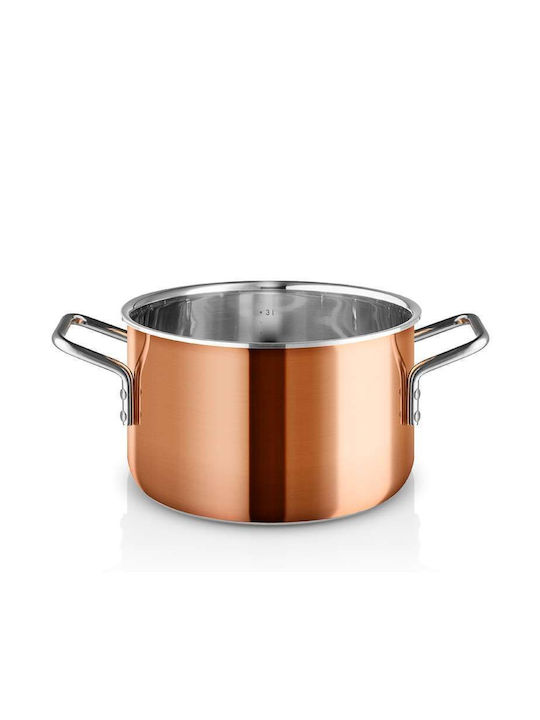 Eva Solo Tiefroster Rostfreier Stahl Kochtopf 3,9l / 20cm