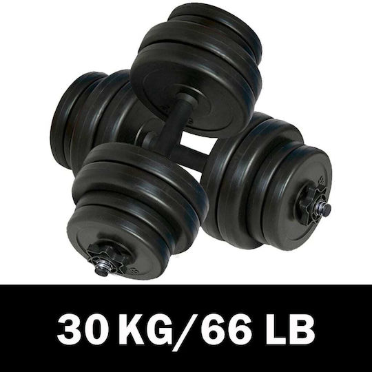 vidaXL Αλτήρες Σετ 2x 15kg