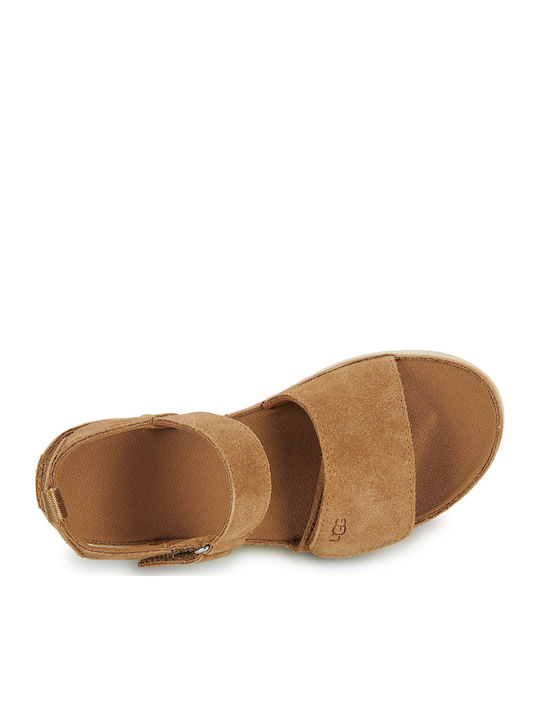 Kids' Sandals Goldenstar Brown
