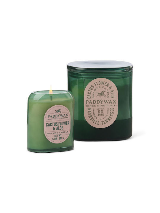Paddywax Ароматична Свещ Буркан с Аромат Цвят на Кактус и Алое 142гр
