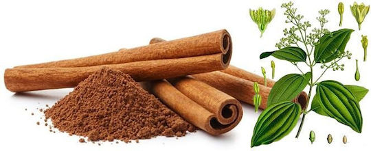 Cinnamon Stick 8cm Vietnam Cassia Quang Ngai 1000 Gr
