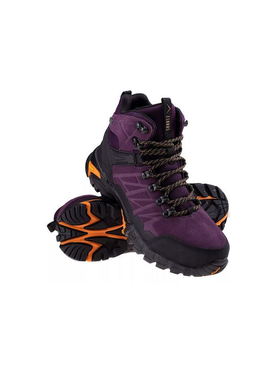 Elbrus Violet ->