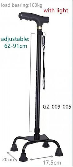 Μπαστούνι Βάδισης GZ-009-005