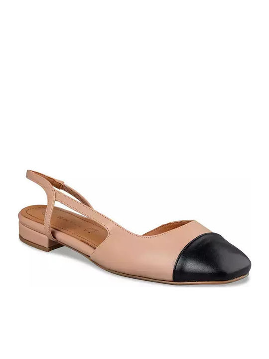 Envie Shoes