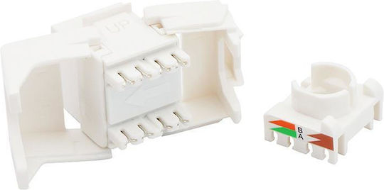 NG Keystone 1бр (RACK-PP-KSJACKS-6A)
