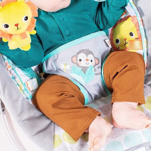 Bright Starts Elektrisch Baby Relax Whimsical Wild mit Musik und Vibration Mehrfarbig