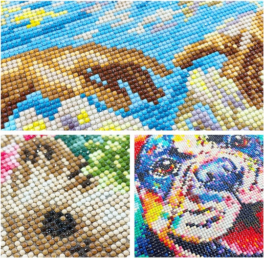 Pânză Diamond Painting Kit 60x40cm