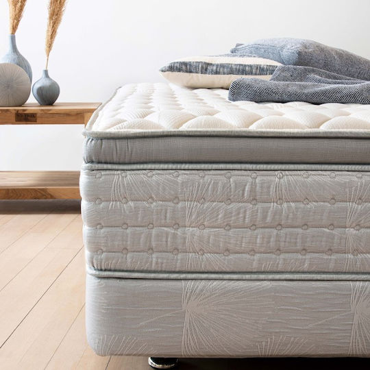 Hauz Edge Queen Ergonomic Mattress Foam / Latex 160x200x30cm with Independent Springs & Topper