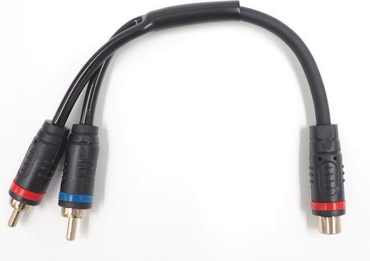 Conchord Cablu Amplificator Auto