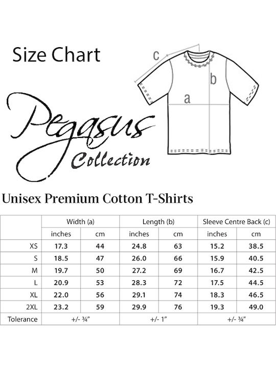 Pegasus Shoto Todoroki - My Hero Academia T-shirt