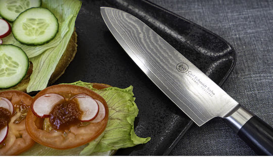 Carl Schmidt Sohn Konstanz Messer Chef aus Rostfreiem Stahl 20cm