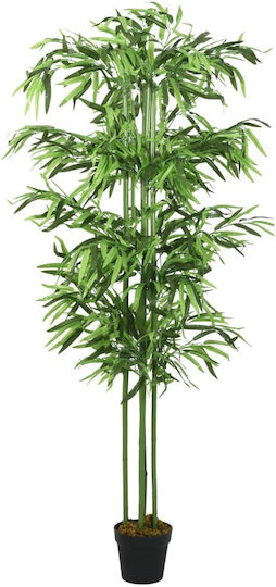 Bamboo in a Pot vidaXL Bamboo in a Pot vidaXL