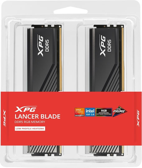 Adata XPG Lancer Blade 48GB DDR5 RAM mit 2 Modulen (2x24GB) und Geschwindigkeit 6000 für Schreibtisch